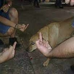 NOOLOGIA @ BANANA.FRITA(11)_220723_DJSET.mp3 (92kbps)