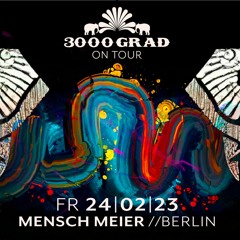 Arne Schattenberg @ 3000Grad on Tour / Mensch Meier / Berlin