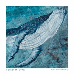 Cetacean Song - The Call