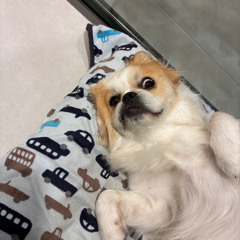 A Part Of - Extended Mix