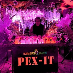 CAMP PEX-IT Live at Immersejawn 2023 - July 8th