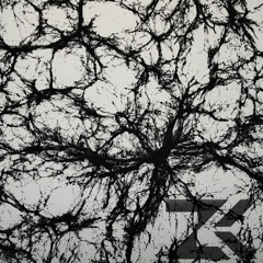 Zolkraft 255 Dark Void Melodic Techno  MiX