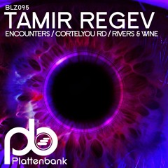 Tamir Regev - Rivers & Wine (Preview)