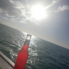 Ani President. 🔥🎵 (oldie) 💃