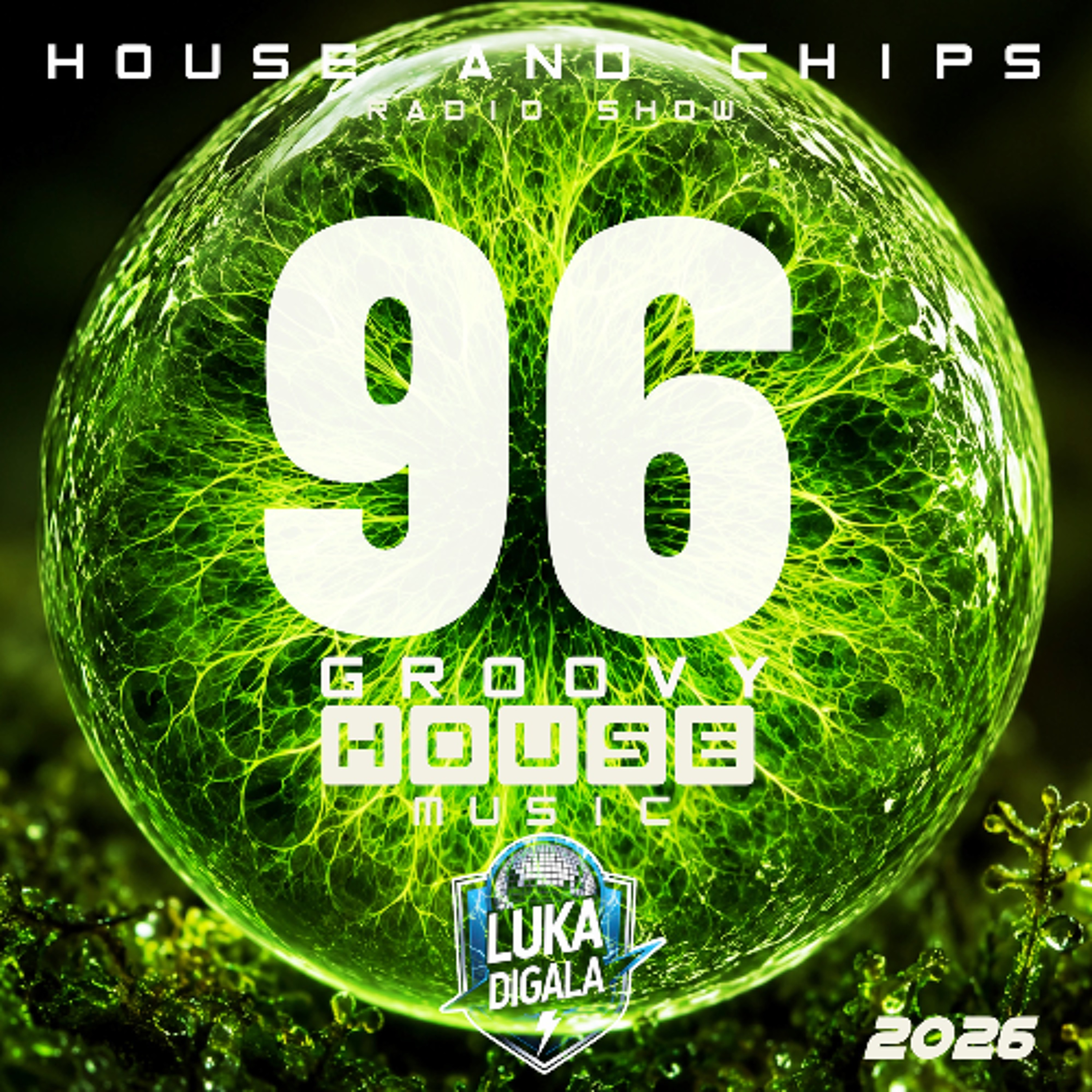 🔥 House and Chips Radio Show Session #96 - Just Groovy House Music ! episode artwork