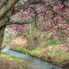 Mike B- May 2025 Promo Mix