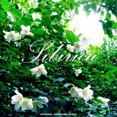 Sibirica