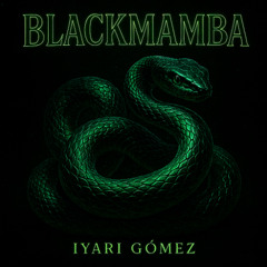 Where the Wildflowers Grow