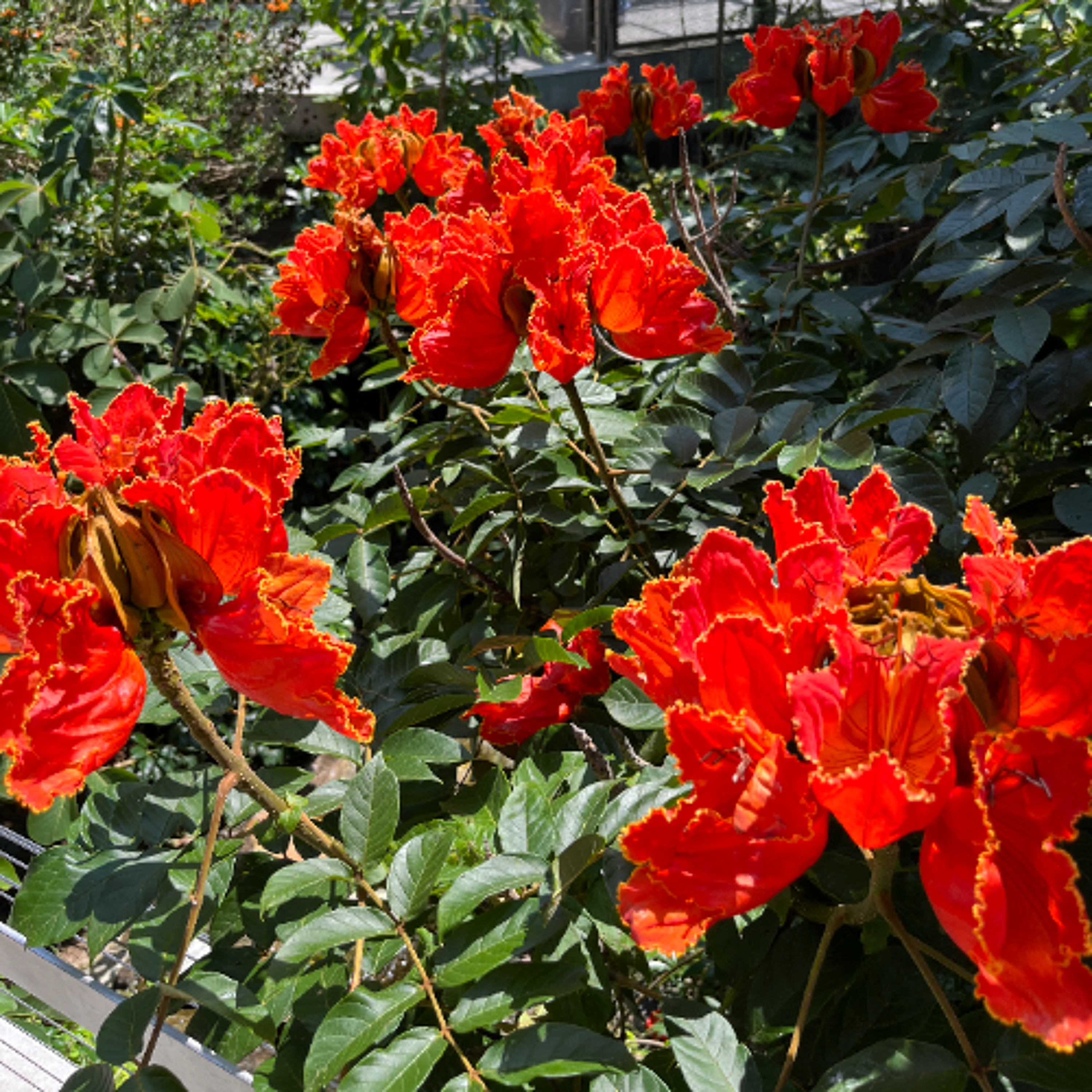 Career Coaching with Jessness