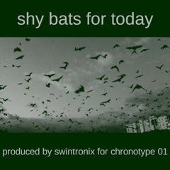 Shy Bats For Today