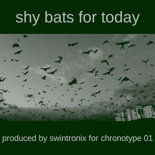 Shy Bats For Today