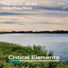 While They Sleep [Critical Elements]