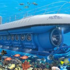 Review Special Price Atlantis Submarine Expedition Grand Cayman