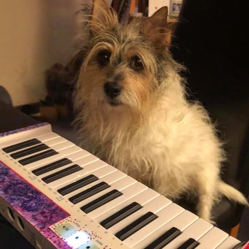 Sherlock Wasn’t There, So Watson Stepped In