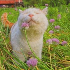 summer is coming~🌊⛱️