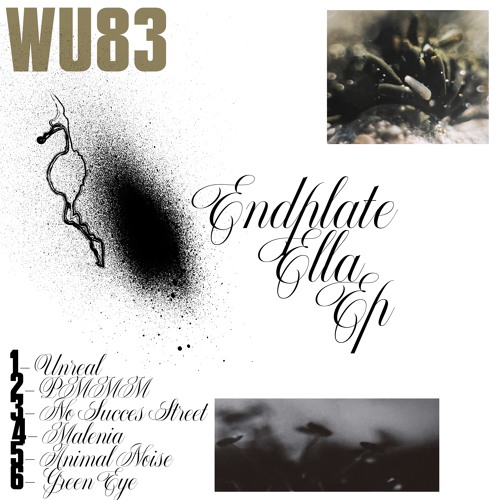 Lost In Ether | P R E M I E R E |  Endplate - Unreal [Warm Up]