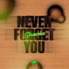 Zara Larsson, MNEK - Never Forget You (Shockz Remix) (Extended Mix)
