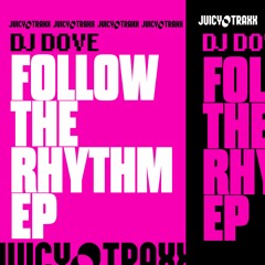 DJ Dove-Follow The Rhythm (Radio Edit)