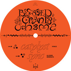 02 Coleman Goughary - blessed in the grand scheme: ii. sync [allegro moderato]