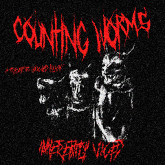 Counting Worms (A Tribute To Knocked Loose)