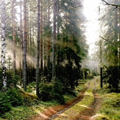 The Girl From The Valley Of The Flowers