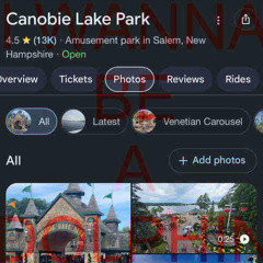 canobie dolphins