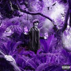 RudyWade - Invincible