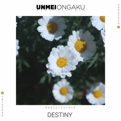 Unmei Ongaku - Destiny