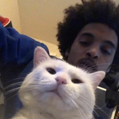 TrapMusikk 🏚️🔌🦇