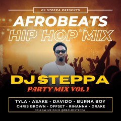 AFROBEATS & HIP HOP PARTY MIX VOL1 (TYLA, ASAKE, DAVIDO, BURNA BOY, CHRIS BROWN, RIHANNA, DRAKE)2024