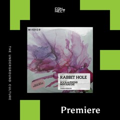 PREMIERE: Bock & Fuchs & Ben Haydie - Rabbit Hole [Mirror Records]