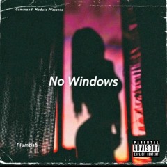 Plumtish - No Windows.mp3