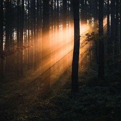 Deep Breakfast 168 - Vedis
