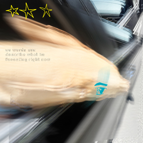 everythingbagelwcreamcheese (mix)
