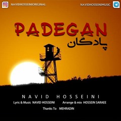 Navid Hosseini-Padegan