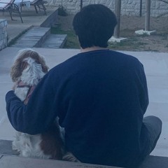 Historia de un Perro - Sebastian Opitz 2024