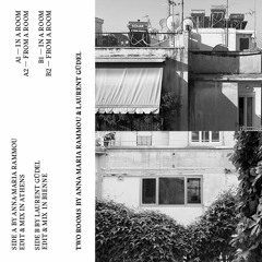 B2. FROM A ROOM (Laurent Güdel)