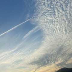 I am so thankful/Mw rekonesan