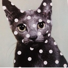 🐾