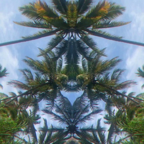 David Hasert - Keep on Shmoovin - DTZ132
