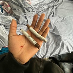 cant land (prod. RNC Bre)