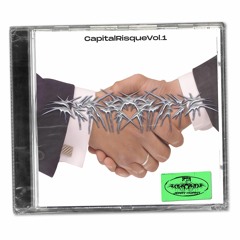 CAPITAL RISQUE VOL.1 - Snippets