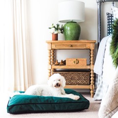 Furniture Fabrics That Love Your Pets As Much As You Do - Abide Interiors