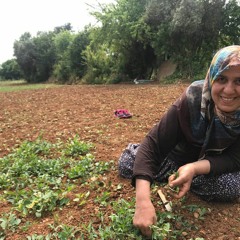 FA - Heroine Farmer