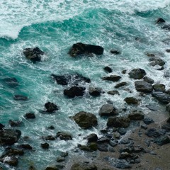 Let Me Fall April 2019