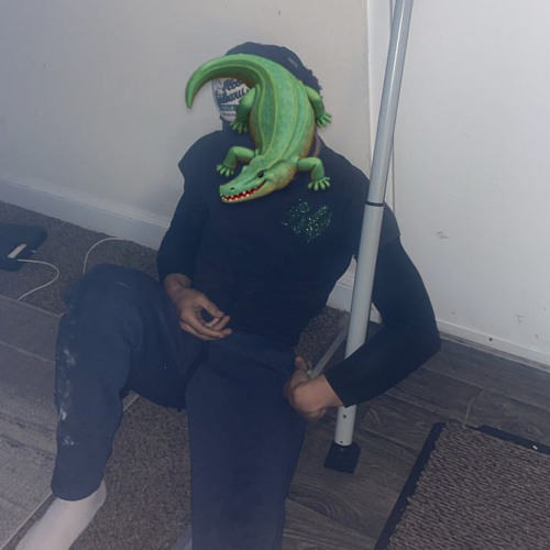crocmaze p.dazin