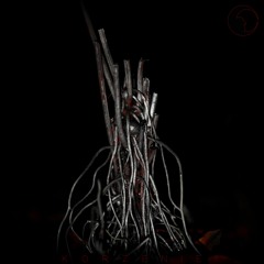 Łukasz Poleszak – Serce lasu