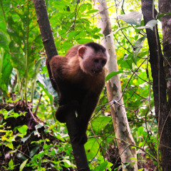 Mercedes de la sierra (HYPNOTIC VIP Edit) - FREE DOWNLOAD