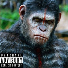 She Loves Me Not (Prod. Tofito)