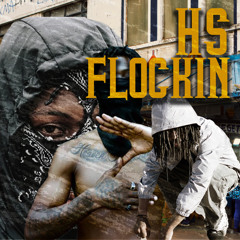 HS FLOCKIN (PS HITSQUAD) (ZONE2) (prod. 58 gang)
